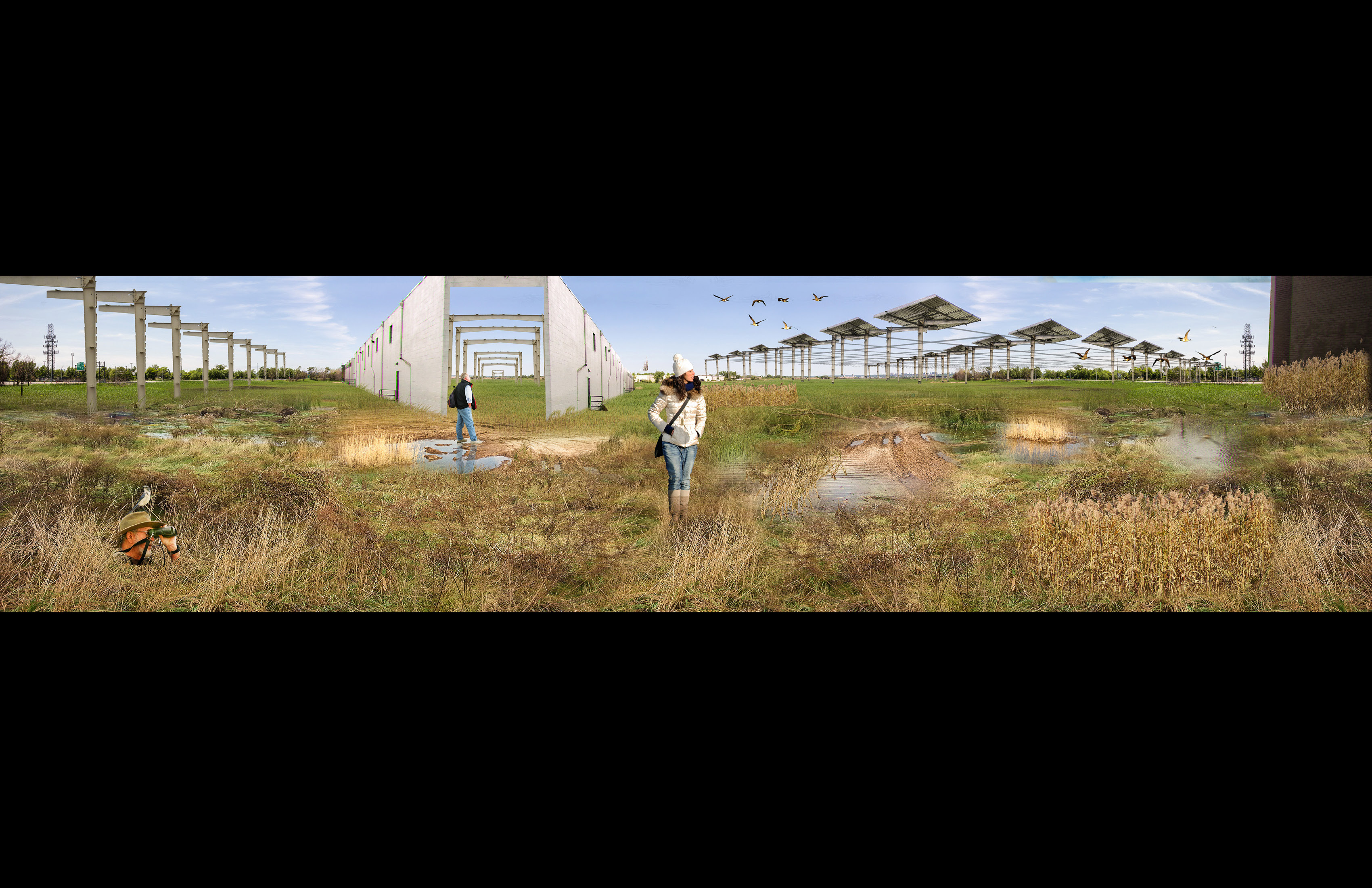 MeadowLoop image 17