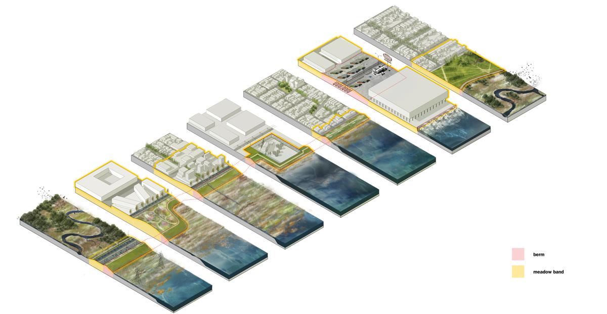 New Meadowlands image 10