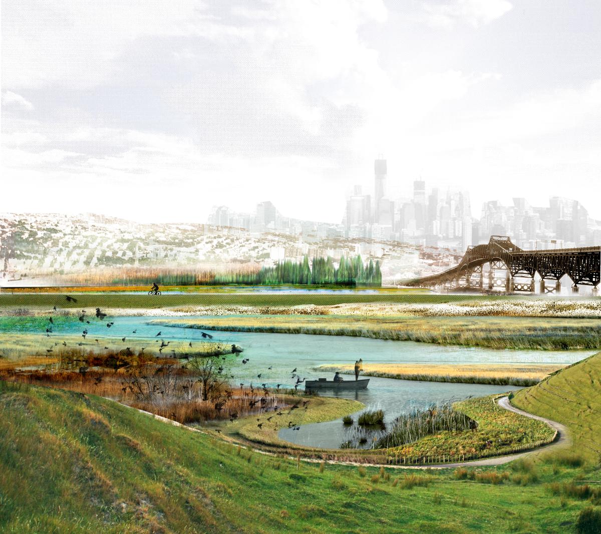 New Meadowlands image 17