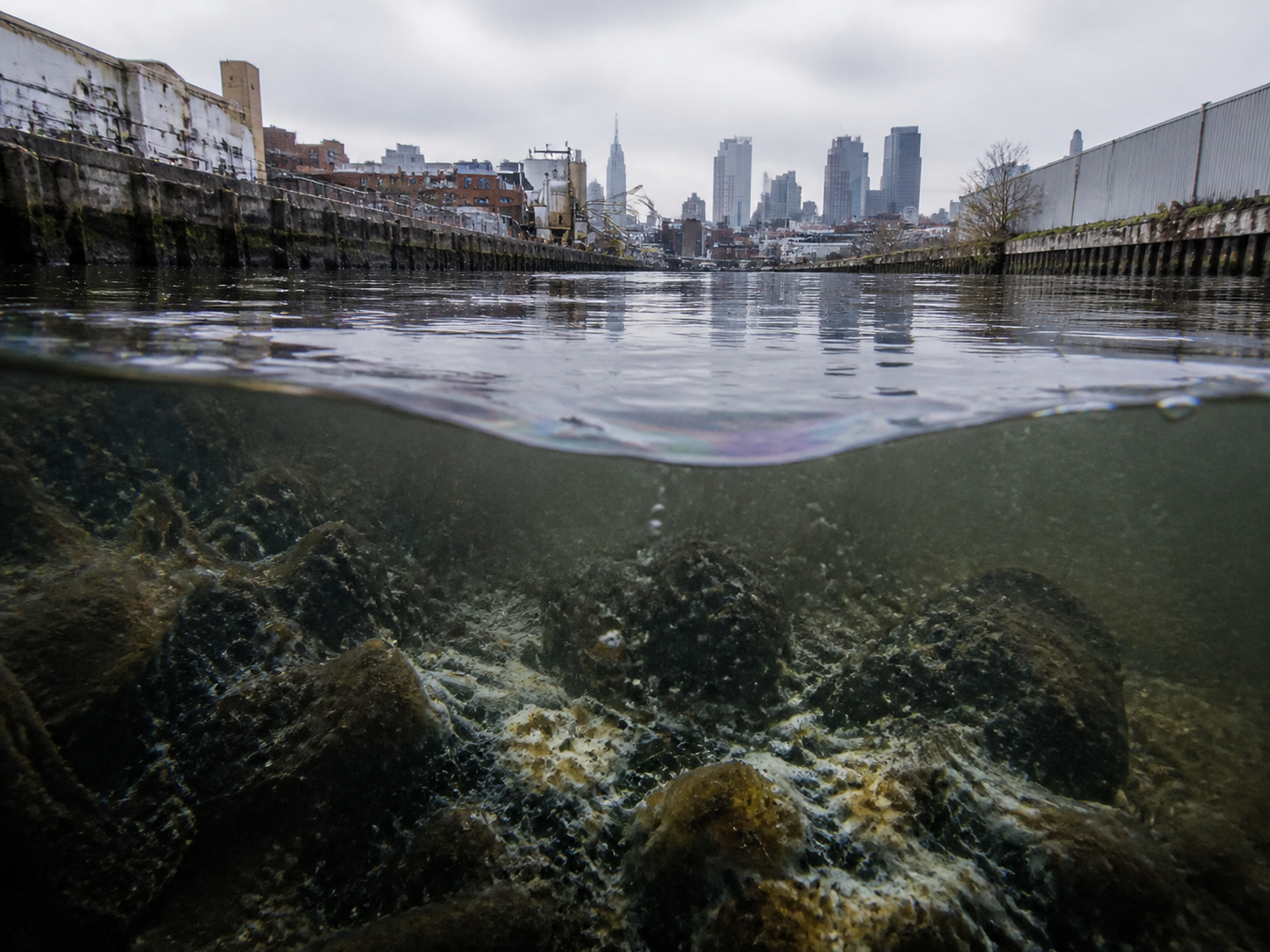 Water-level view of the Gowanus Canal looking toward the Brooklyn and Manhattan skylines